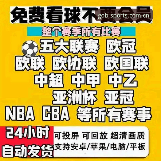 3种方法高效获取最新B体育赛事回放：从直播入口到BS官方频道全解析
